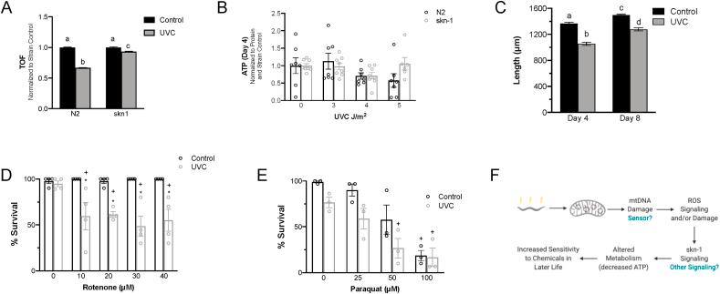 https://cdn.ncbi.nlm.nih.gov/pmc/blobs/a78f/8134077/5d0417429982/gr6.jpg