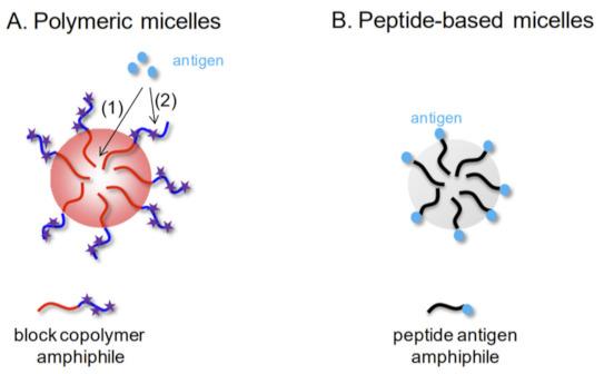 https://cdn.ncbi.nlm.nih.gov/pmc/blobs/a790/8226647/56622840593e/vaccines-09-00558-g002.jpg