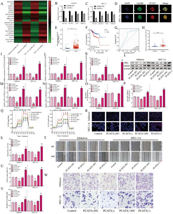 https://cdn.ncbi.nlm.nih.gov/pmc/blobs/a791/10987620/f132566879f9/41419_2024_6564_Fig2_HTML.jpg