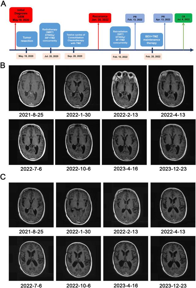 https://cdn.ncbi.nlm.nih.gov/pmc/blobs/a792/11408163/94e5bec640de/fphar-15-1401000-g002.jpg