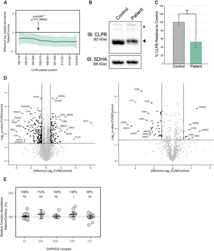 https://cdn.ncbi.nlm.nih.gov/pmc/blobs/a793/9693831/7d986042e571/dgac528f3.jpg