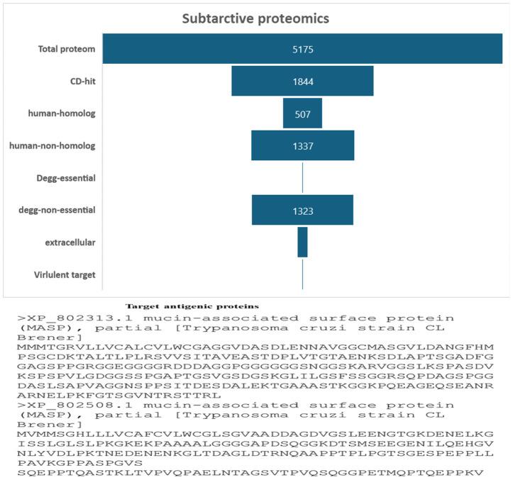 https://cdn.ncbi.nlm.nih.gov/pmc/blobs/a796/11194308/277bd224eb26/fimmu-15-1413893-g002.jpg