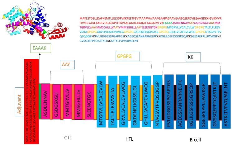 https://cdn.ncbi.nlm.nih.gov/pmc/blobs/a796/11194308/38384acab028/fimmu-15-1413893-g003.jpg