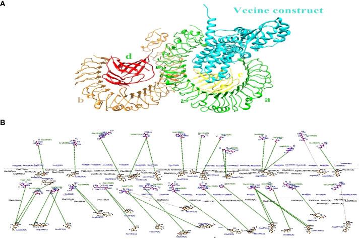 https://cdn.ncbi.nlm.nih.gov/pmc/blobs/a796/11194308/d5a7f04367bc/fimmu-15-1413893-g006.jpg