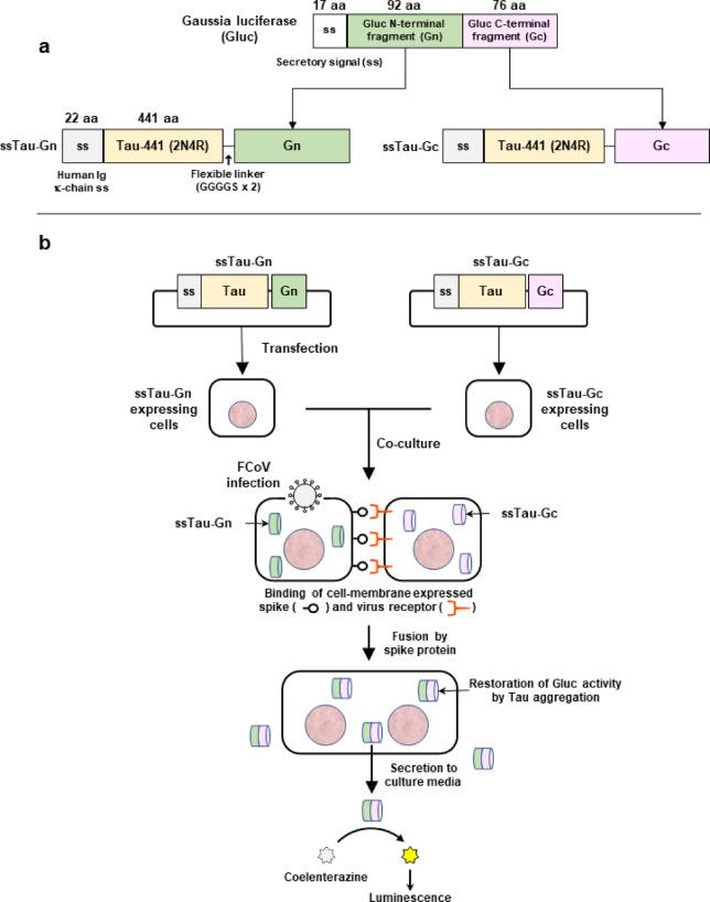 https://cdn.ncbi.nlm.nih.gov/pmc/blobs/a79b/12092680/8ab40d2285a5/41598_2025_2037_Fig1_HTML.jpg