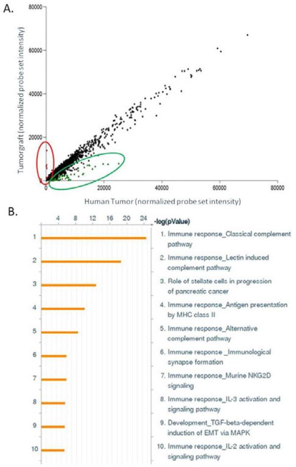 https://cdn.ncbi.nlm.nih.gov/pmc/blobs/a79b/3439334/00707fa92d29/1479-5876-10-125-3.jpg
