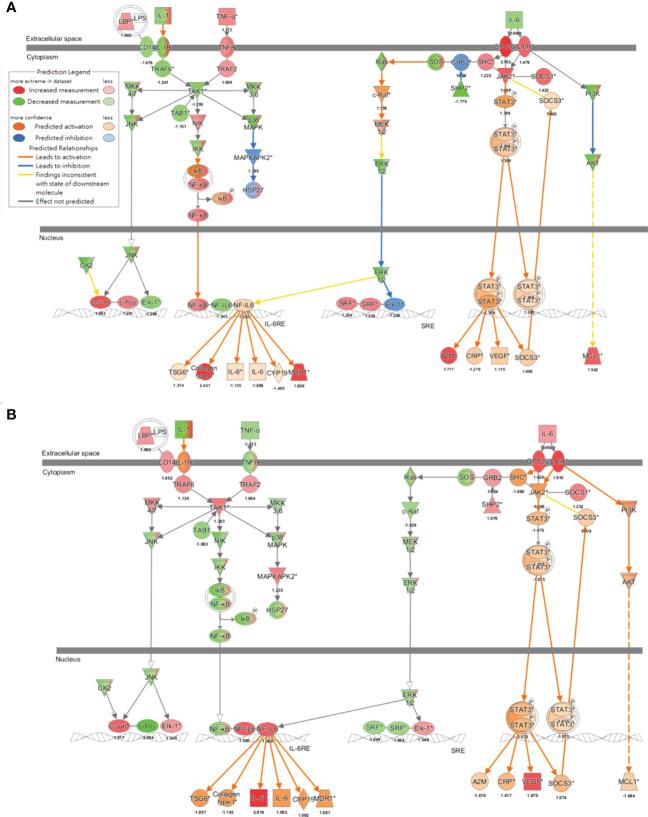 https://cdn.ncbi.nlm.nih.gov/pmc/blobs/a79b/9972220/aa405a656a66/fimmu-13-1044462-g005.jpg