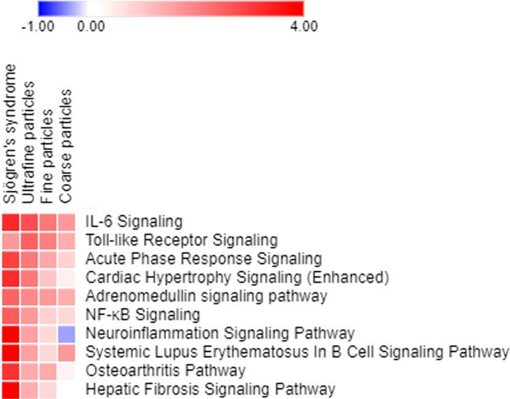 https://cdn.ncbi.nlm.nih.gov/pmc/blobs/a79b/9972220/ebc6f63fe7c8/fimmu-13-1044462-g004.jpg
