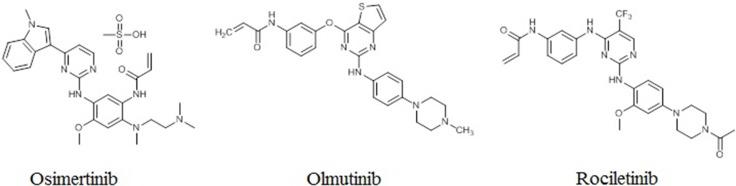https://cdn.ncbi.nlm.nih.gov/pmc/blobs/a79c/5610029/29180440a979/oncotarget-08-64600-g002.jpg