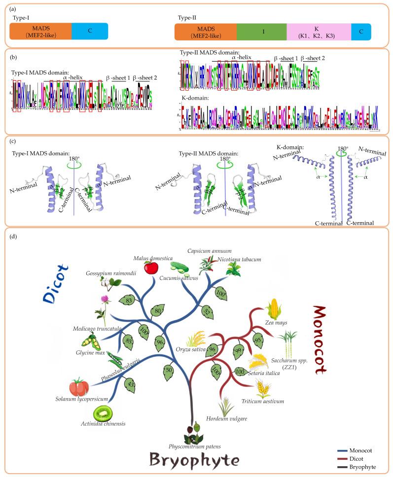 https://cdn.ncbi.nlm.nih.gov/pmc/blobs/a79d/11676252/a197d2a02686/ijms-25-13278-g001.jpg