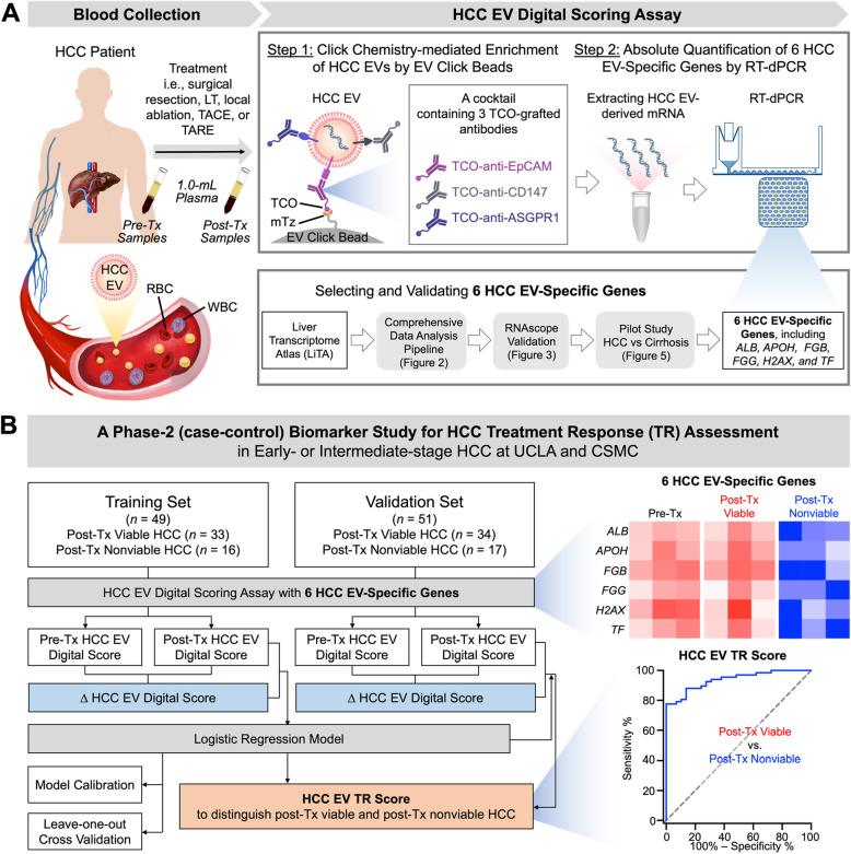 https://cdn.ncbi.nlm.nih.gov/pmc/blobs/a79f/12044846/0f97e7266dc8/13046_2025_3379_Fig1_HTML.jpg