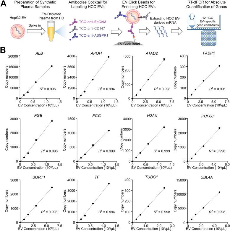 https://cdn.ncbi.nlm.nih.gov/pmc/blobs/a79f/12044846/7849121ba57e/13046_2025_3379_Fig4_HTML.jpg