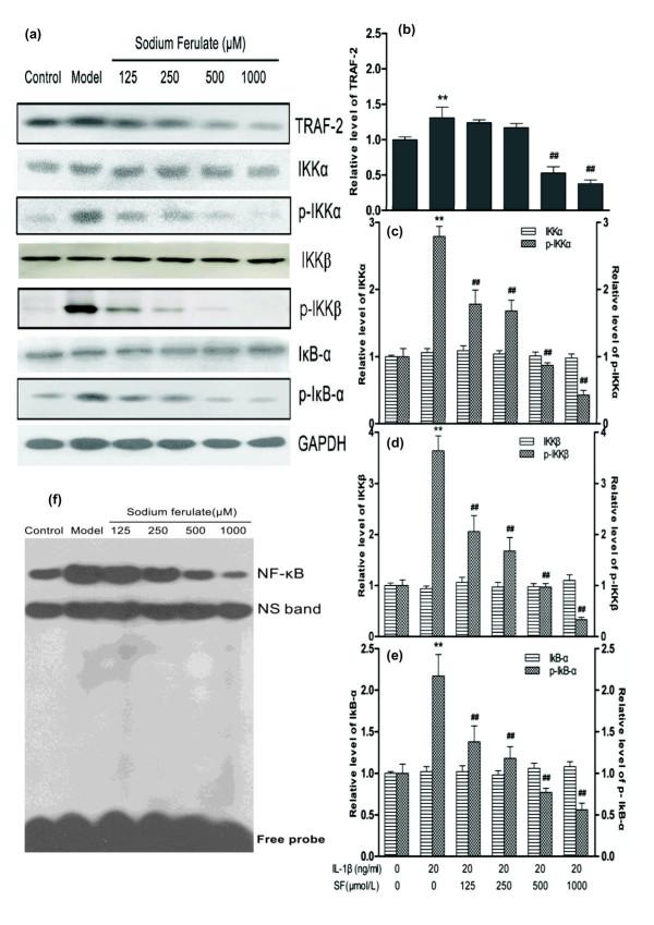 https://cdn.ncbi.nlm.nih.gov/pmc/blobs/a79f/3674623/e78015a60096/ar4085-4.jpg