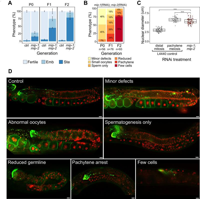 https://cdn.ncbi.nlm.nih.gov/pmc/blobs/a79f/8331183/1e6a2ddae842/elife-60833-fig2.jpg