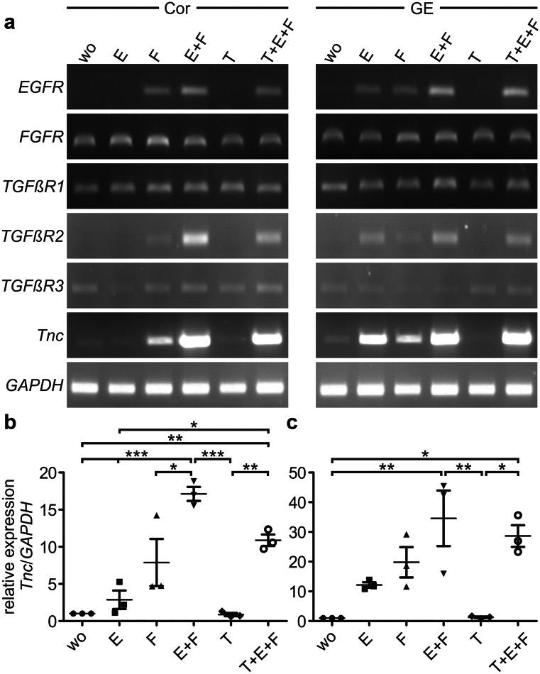 https://cdn.ncbi.nlm.nih.gov/pmc/blobs/a7a1/8526465/6e183477b703/441_2021_3508_Fig3_HTML.jpg