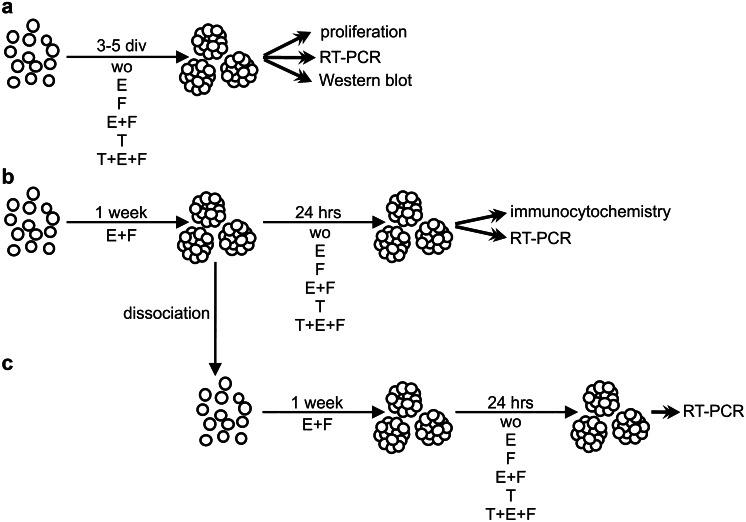 https://cdn.ncbi.nlm.nih.gov/pmc/blobs/a7a1/8526465/8afa30d92464/441_2021_3508_Fig1_HTML.jpg