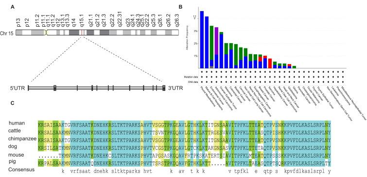 https://cdn.ncbi.nlm.nih.gov/pmc/blobs/a7a3/10516127/edf5a6c79e16/IJGM-16-4235-g0001.jpg