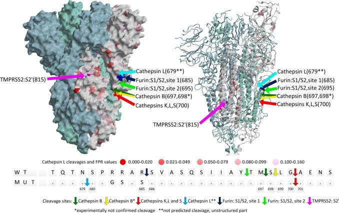 https://cdn.ncbi.nlm.nih.gov/pmc/blobs/a7a5/10126057/cd06e11128a4/42003_2023_4772_Fig4_HTML.jpg