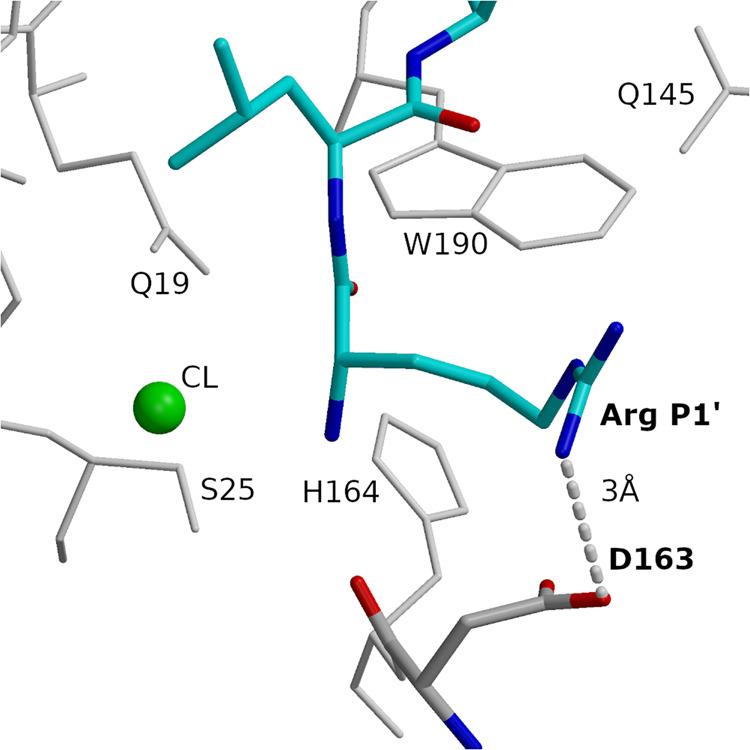 https://cdn.ncbi.nlm.nih.gov/pmc/blobs/a7a5/10126057/e86db66fa85f/42003_2023_4772_Fig6_HTML.jpg