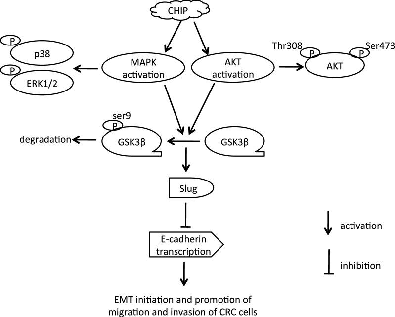 https://cdn.ncbi.nlm.nih.gov/pmc/blobs/a7a8/6008917/a810b236404b/12967_2018_1540_Fig6_HTML.jpg