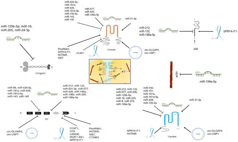 https://cdn.ncbi.nlm.nih.gov/pmc/blobs/a7a8/7975691/b77f5218448e/ijbsv17p0712g003.jpg