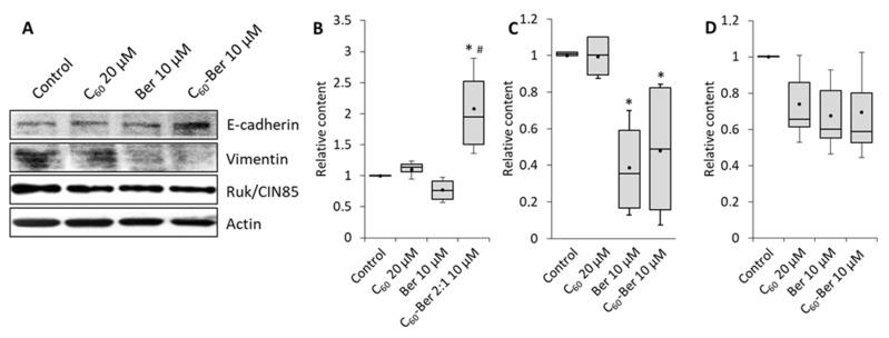 https://cdn.ncbi.nlm.nih.gov/pmc/blobs/a7a8/8540026/8807a90b53d2/materials-14-06114-g003.jpg
