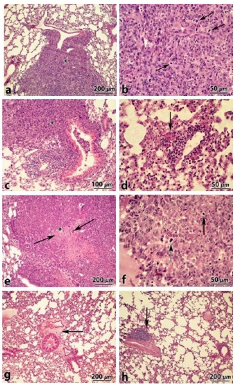 https://cdn.ncbi.nlm.nih.gov/pmc/blobs/a7a8/8540026/92eabd0f4d2f/materials-14-06114-g006.jpg