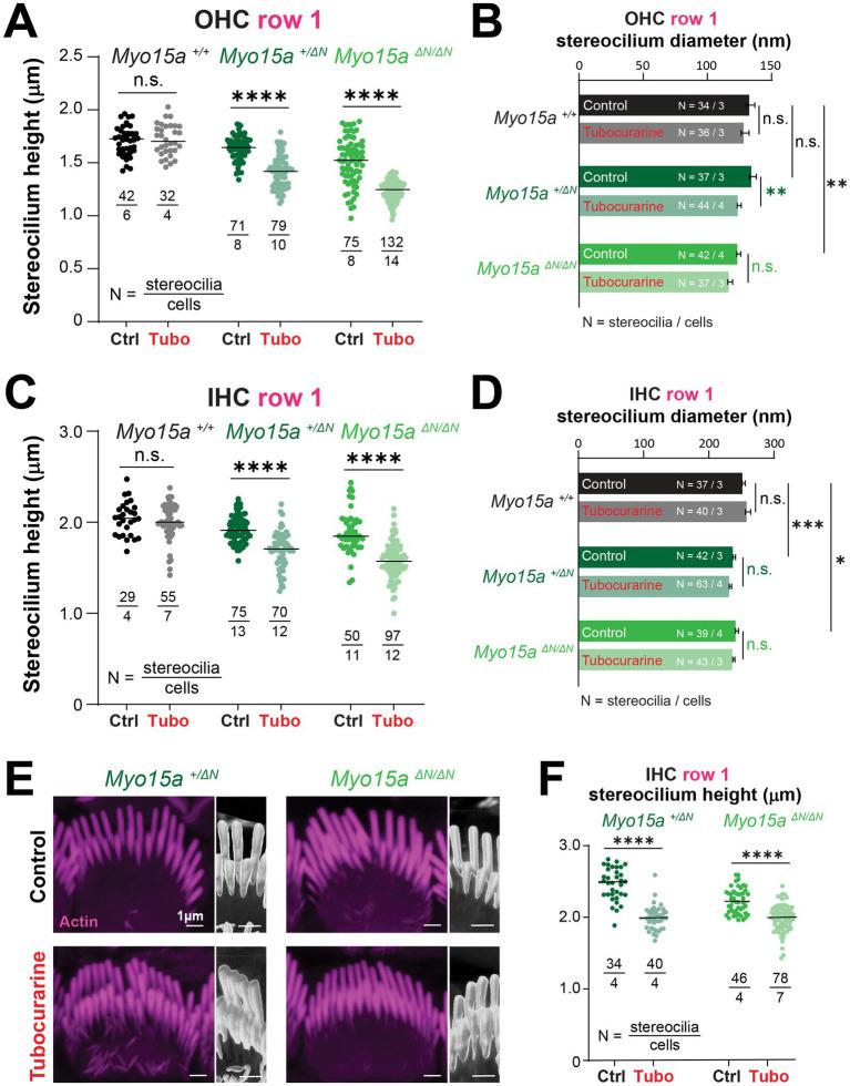 https://cdn.ncbi.nlm.nih.gov/pmc/blobs/a7aa/11704364/5ec05fc96e44/fneur-15-1482892-g005.jpg