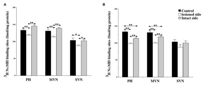 https://cdn.ncbi.nlm.nih.gov/pmc/blobs/a7ab/3879797/02c75008a1e0/fnint-07-00087-g004.jpg
