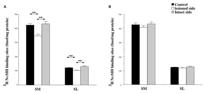 https://cdn.ncbi.nlm.nih.gov/pmc/blobs/a7ab/3879797/a4cedf9a946c/fnint-07-00087-g007.jpg