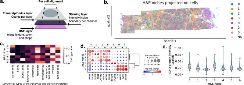 https://cdn.ncbi.nlm.nih.gov/pmc/blobs/a7ac/11167053/845f10c93b4f/41467_2024_48981_Fig5_HTML.jpg