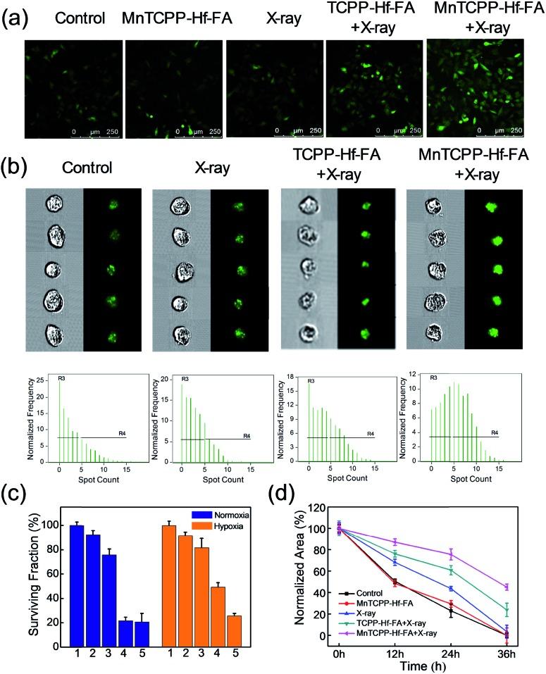 https://cdn.ncbi.nlm.nih.gov/pmc/blobs/a7ad/6563782/1219c21e634c/c9sc00747d-f4.jpg