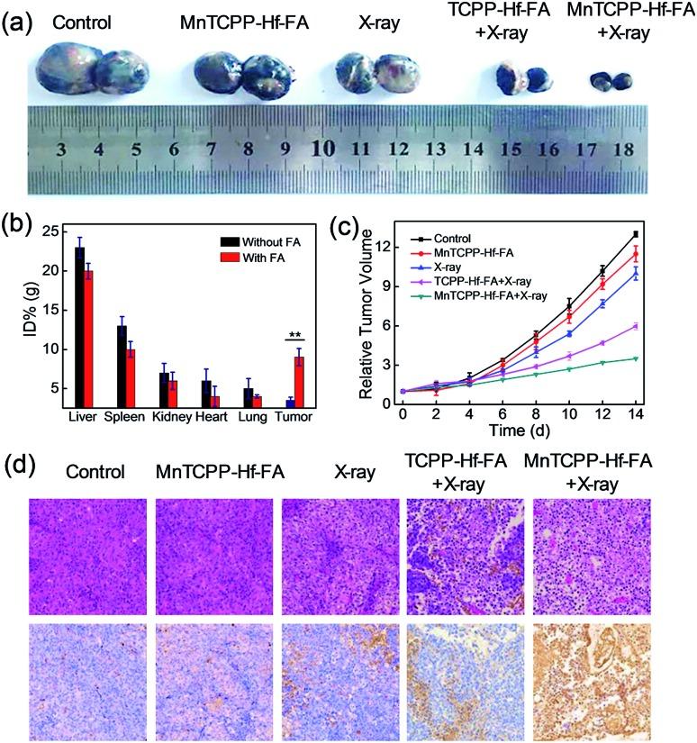 https://cdn.ncbi.nlm.nih.gov/pmc/blobs/a7ad/6563782/eb68a3304fbb/c9sc00747d-f5.jpg
