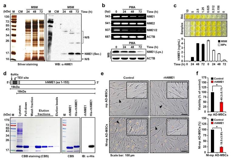 https://cdn.ncbi.nlm.nih.gov/pmc/blobs/a7ae/8619003/5c1f28073202/ijms-22-12194-g003.jpg