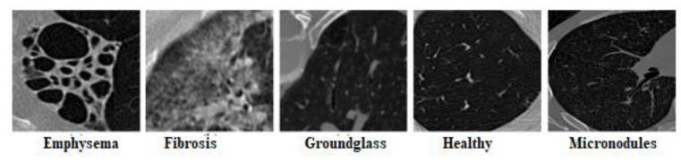 https://cdn.ncbi.nlm.nih.gov/pmc/blobs/a7ae/9598721/89667be7eeed/biomedicines-10-02438-g010.jpg