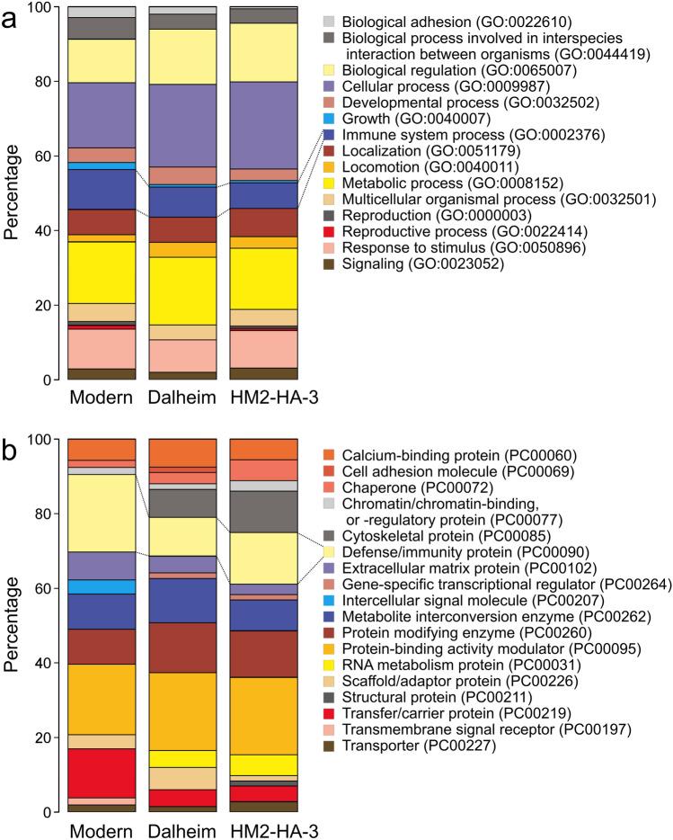 https://cdn.ncbi.nlm.nih.gov/pmc/blobs/a7af/10928219/d35a3e87bb6f/41598_2024_55779_Fig4_HTML.jpg