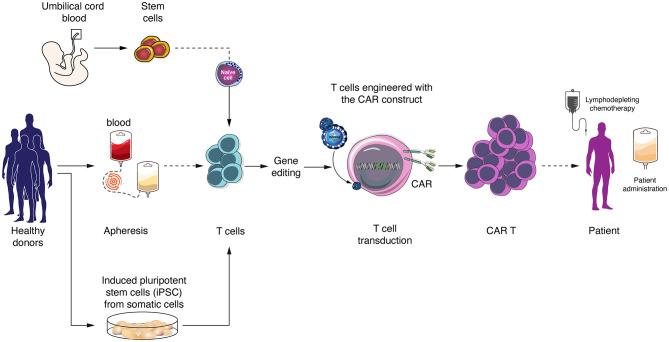 https://cdn.ncbi.nlm.nih.gov/pmc/blobs/a7af/7966522/68f9e1cec5ea/fimmu-12-640082-g0001.jpg