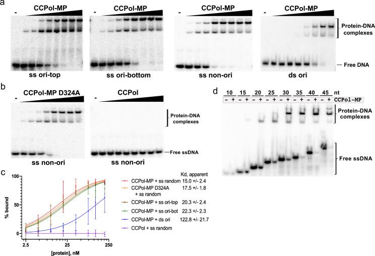 https://cdn.ncbi.nlm.nih.gov/pmc/blobs/a7b1/7581432/95e20d41bac2/elife-55478-fig5.jpg
