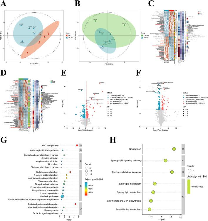 https://cdn.ncbi.nlm.nih.gov/pmc/blobs/a7b2/12380746/c41e5ffcf5f8/fphar-16-1627656-g004.jpg