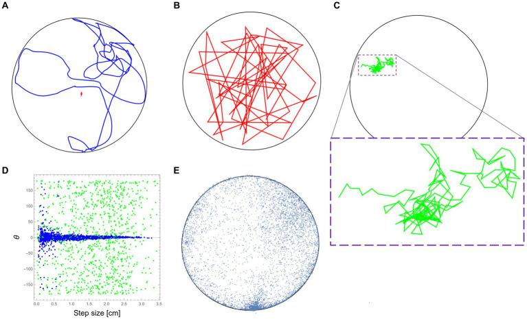 https://cdn.ncbi.nlm.nih.gov/pmc/blobs/a7b4/11089150/38fb5ebecfa9/fnbeh-18-1381852-g001.jpg