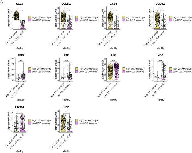 https://cdn.ncbi.nlm.nih.gov/pmc/blobs/a7b4/11982295/39d090567661/41598_2025_94989_Fig5_HTML.jpg