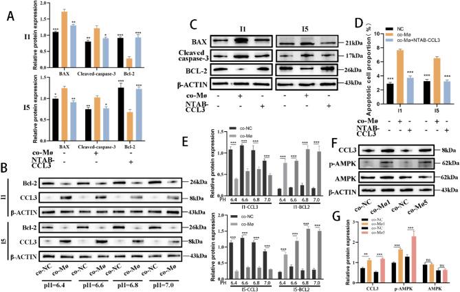 https://cdn.ncbi.nlm.nih.gov/pmc/blobs/a7b4/11982295/5fd18b20c82a/41598_2025_94989_Fig9_HTML.jpg
