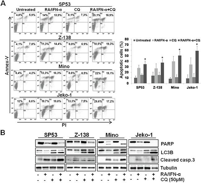 https://cdn.ncbi.nlm.nih.gov/pmc/blobs/a7b4/5173105/7f8276bf386b/oncotarget-07-41913-g002.jpg