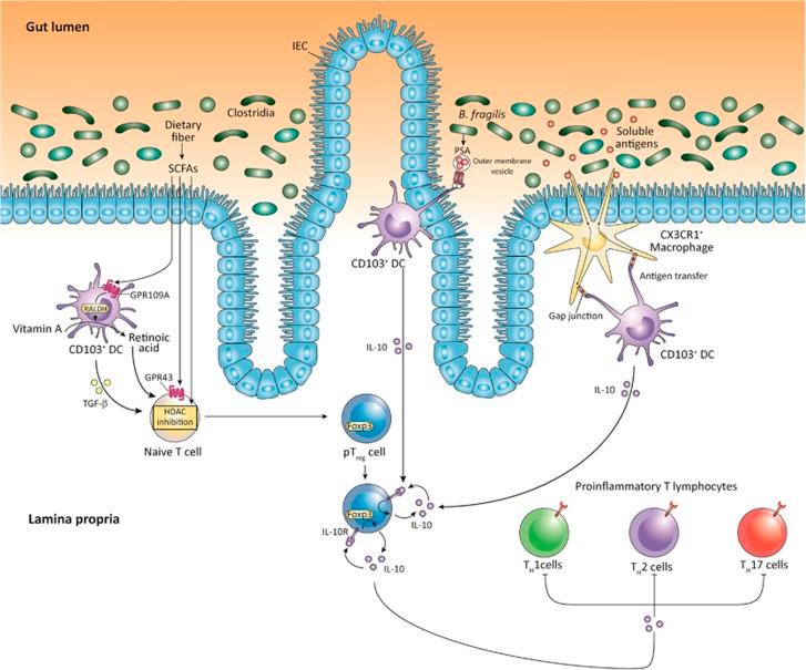 https://cdn.ncbi.nlm.nih.gov/pmc/blobs/a7b5/5628268/1fe3dd8229a5/cti201739f2.jpg