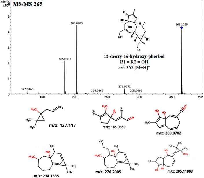 https://cdn.ncbi.nlm.nih.gov/pmc/blobs/a7b6/7666564/6ebd9e8a1873/peerj-08-10172-g003.jpg