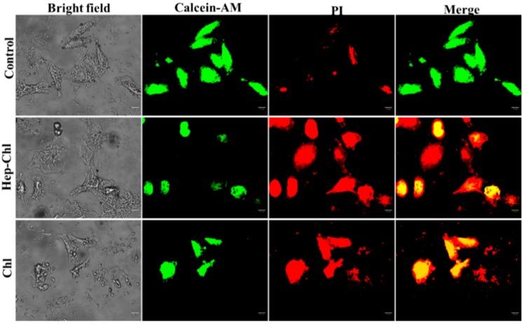 https://cdn.ncbi.nlm.nih.gov/pmc/blobs/a7b7/7023610/60f3221aec5d/polymers-12-00043-g007.jpg