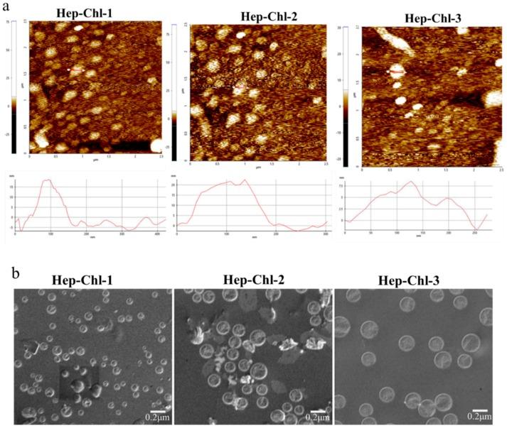 https://cdn.ncbi.nlm.nih.gov/pmc/blobs/a7b7/7023610/aaf543df0e9b/polymers-12-00043-g004a.jpg