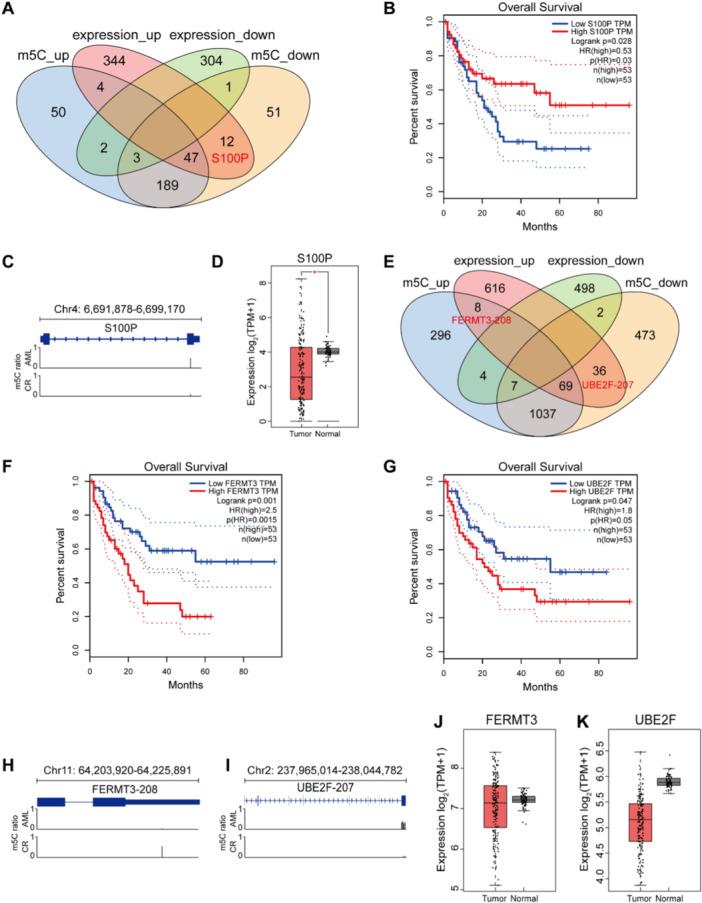 https://cdn.ncbi.nlm.nih.gov/pmc/blobs/a7be/11814907/e93db29069f4/MC-64-502-g002.jpg