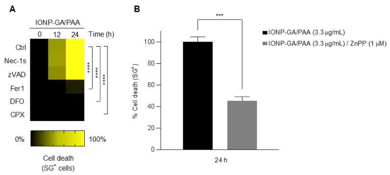 https://cdn.ncbi.nlm.nih.gov/pmc/blobs/a7c1/9268471/0198fd4a0f5a/molecules-27-03970-g004.jpg