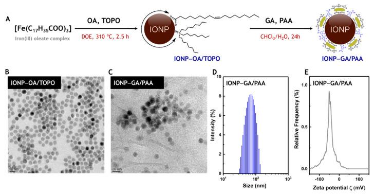 https://cdn.ncbi.nlm.nih.gov/pmc/blobs/a7c1/9268471/4763dcda9800/molecules-27-03970-g002.jpg